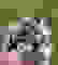 item-77960814=2
