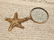 Brass Starfish Magnifying Glass Desk Hand Lens - 10