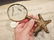 Brass Starfish Magnifying Glass Desk Hand Lens