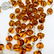 Vintage amber Catholic rosary 5 decades & cross - 4
