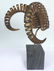 C. Jere Ram's Horn Sculpture on Marble Base, Twice - 5