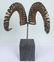 C. Jere Ram's Horn Sculpture on Marble Base, Twice - 9