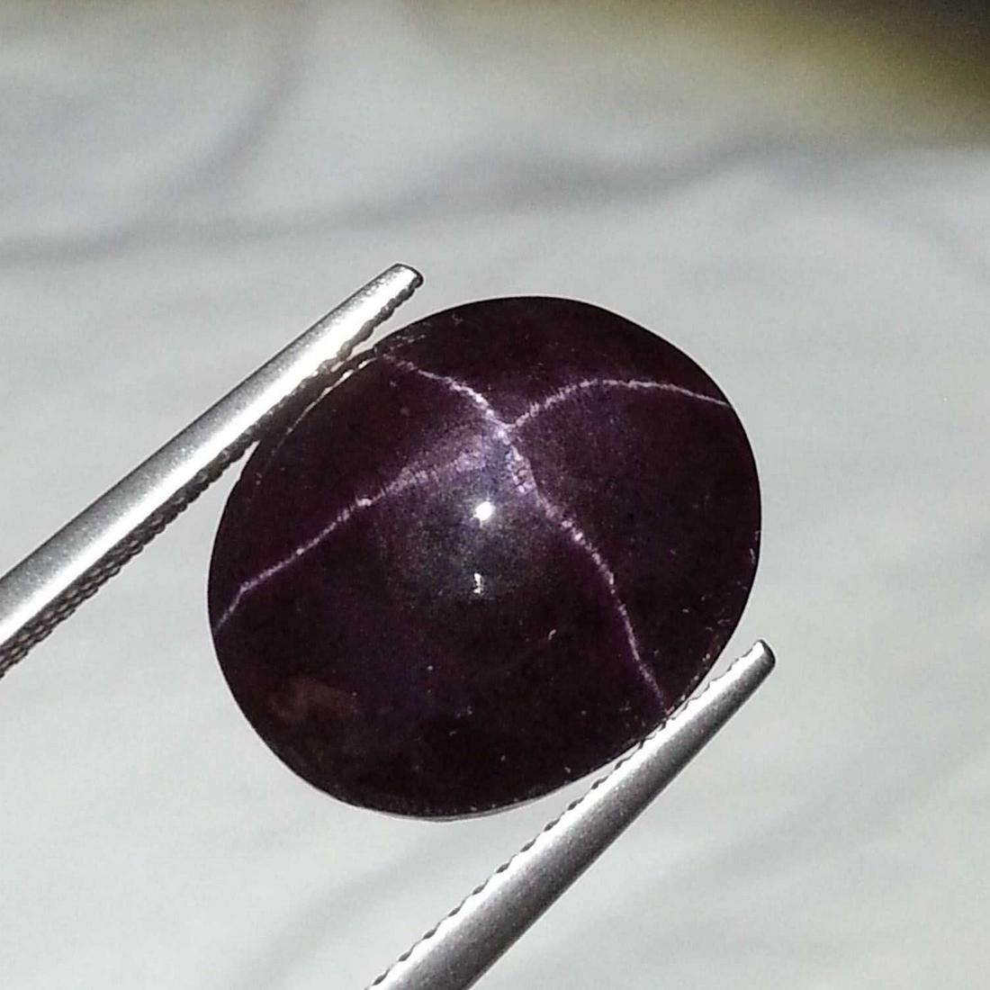 Natural Four Ray Star Garnet 22.50 ct (1 of 6)