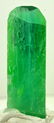 31 Grams Lush Green Terminated Kunzite Crystal - 4