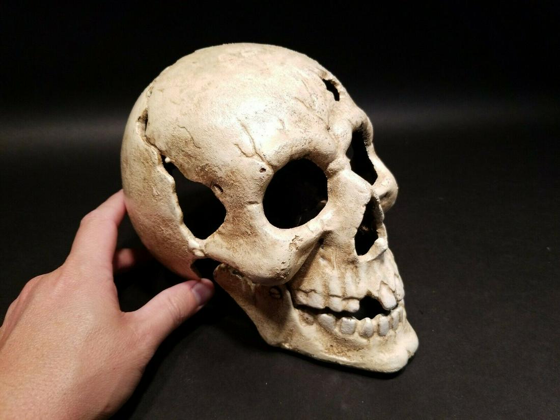 Cast Iron Skull Paperweight Statue: 8" long x 6" tall x 6" wide 7 pounds 12oz! Such neat reproduction antique cast iron skull! Super heavy large piece with a movable jaw. Wonderful solid iron hand painted and distressed piece. Just the