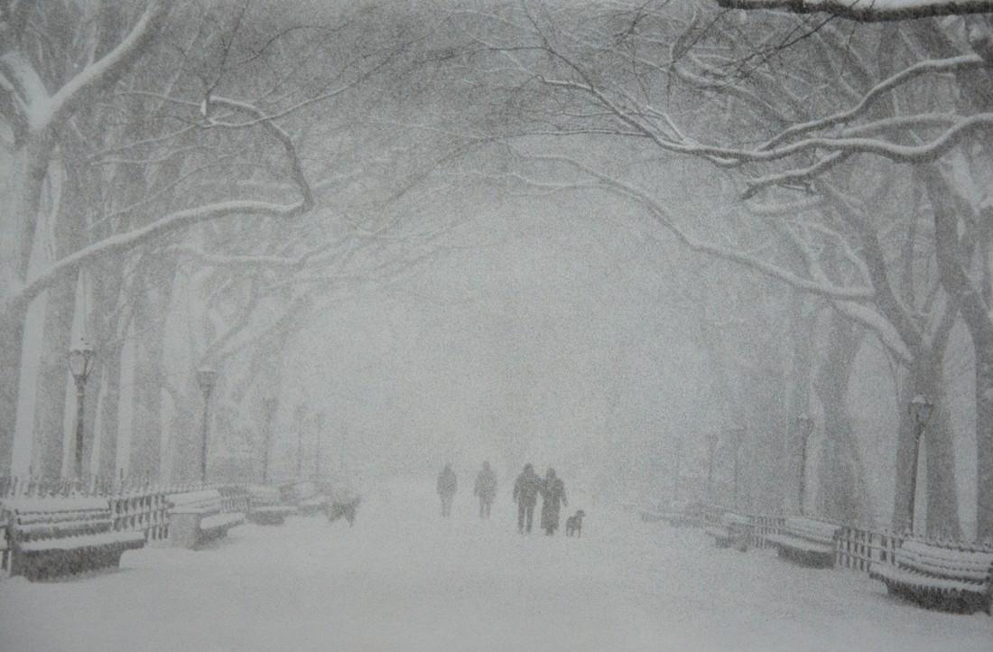 BRUCE DAVIDSON - Central Park in the Snow: Artist: Bruce Davidson Title: Central Park in the Snow Medium: Photo Litho, 1995, Hong Kong Dimensions: 10.75x7.2" Heat Wax Mounted on 12x16" Conservation Board Bruce Davidson is an American Photograp