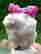 item-79077864=3