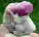 item-79077954=3