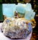 1397 Gram Terminated & Undamaged Natural Aquamarine - 5