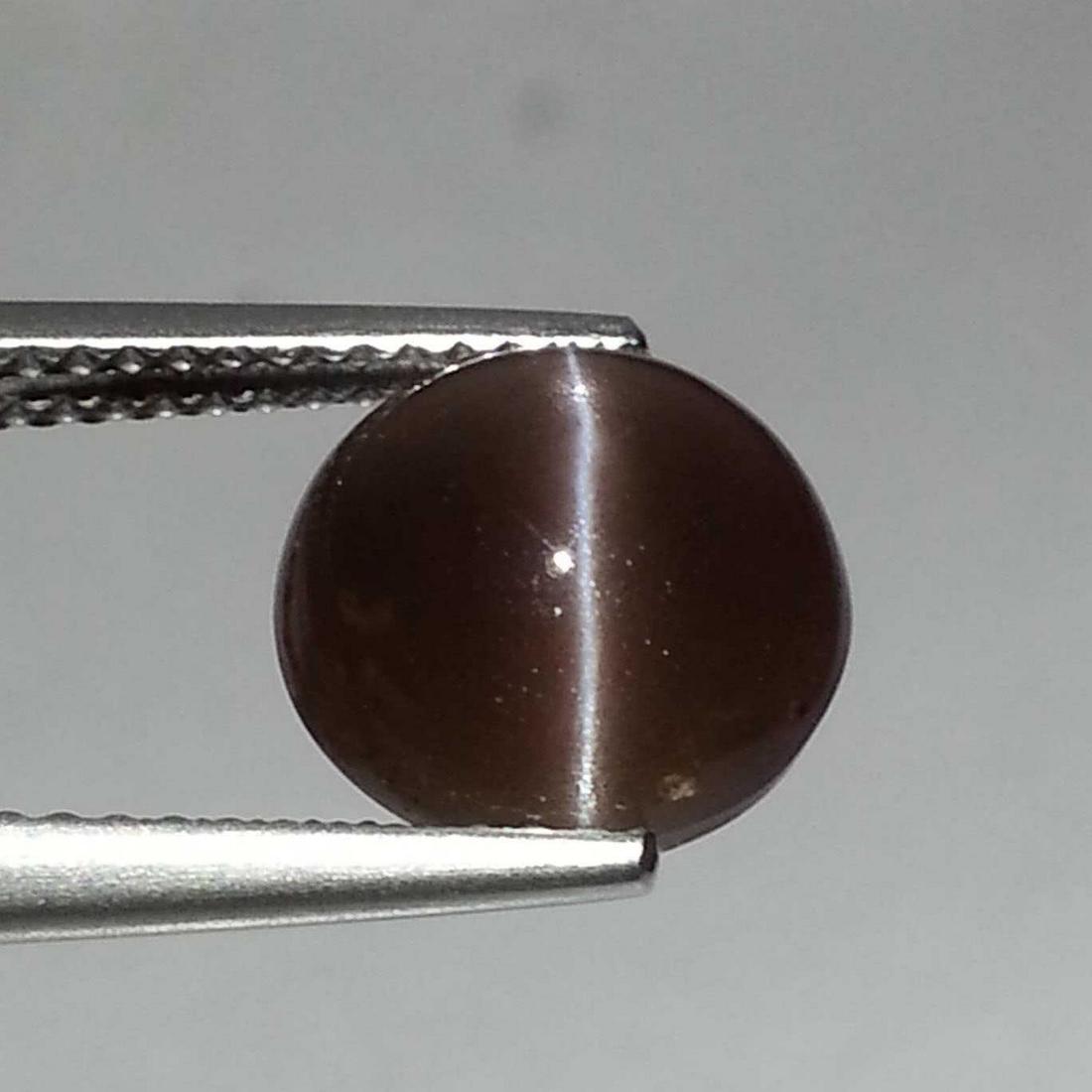 3.63 ct Natural Sillimanite Cat's Eye: No Reserve! Title: 3.63 ct Natural Sillimanite Cat's Eye Color/Clarity: Opaque Gemstones: Loosegemstone Carat Weights: $4 Size/Dimensions: 9.50 x 9.50 x 5.60 Additional Information: Round - Africa Shi