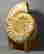 item-79082231=4