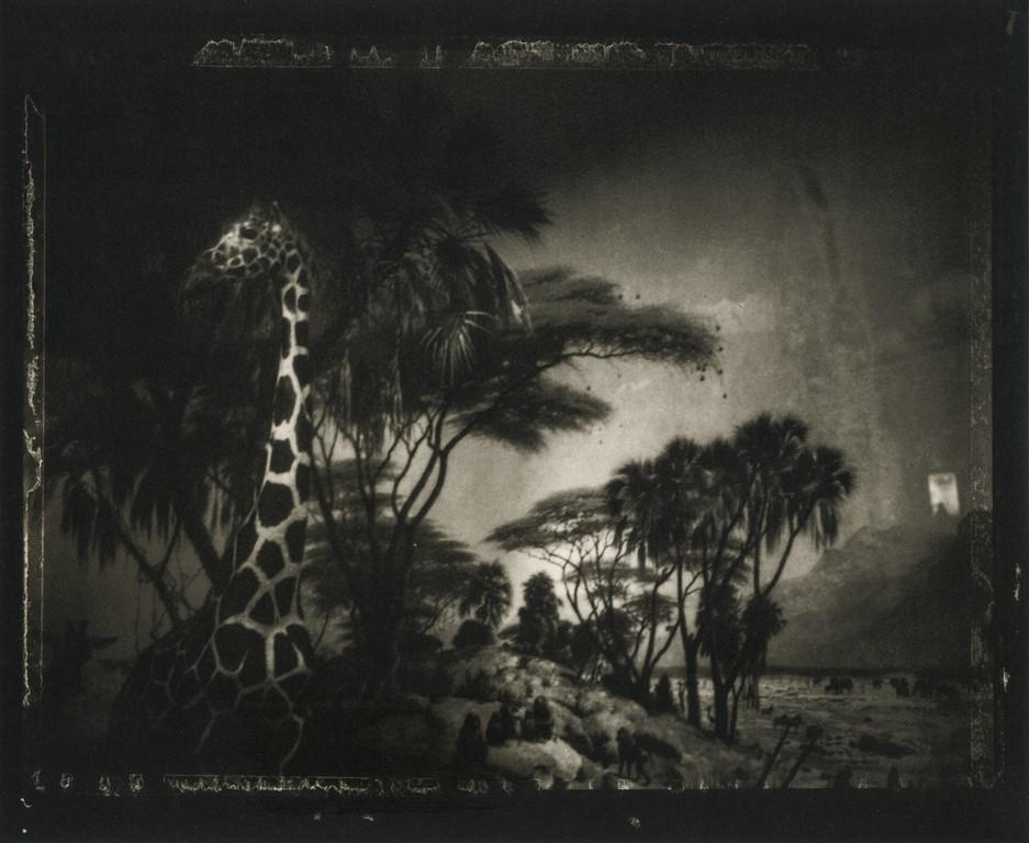 SARAH MOON - New York, 1989: Artist: Sarah Moon Title: New York, 1989 Medium: Photo Litho, 2001, Italy Dimensions: 9.8x8.05" Heat Wax Mounted on 11x14" Conservation Board Sarah Moon (1941) previously known as Marielle Warin, is a