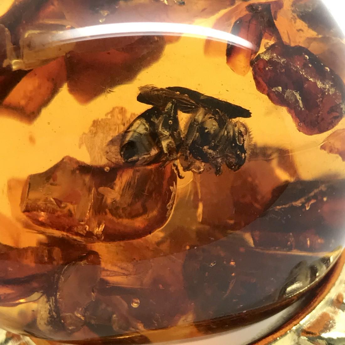 Amber egg with bee insect inclusion + stand (1 of 9)