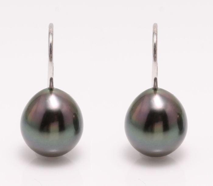 18 kt. White Gold - 9x10mm Peacock Tahitian Pearl Drops: Emerging from the tropical lagoons of French Polynesia, these Tahitian pearls have been hand selected for their natural beautiful peacock green body colour with shimmering purple hues. They look beaut