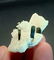 17 Gram Amazing Well Terminated Natural Green Cap