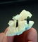 17 Gram Amazing Well Terminated Natural Green Cap - 3