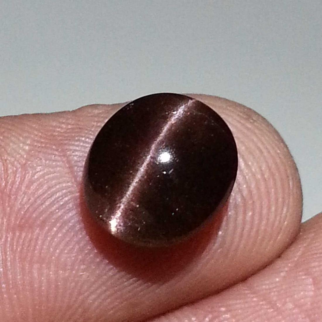 3.58 ct Natural Scapolite Cat's Eye: No Reserve! Title: 3.58 ct Natural Scapolite Cat's Eye Color/Clarity: Opaque Gemstones: Loosegemstone Carat Weights: $4 Size/Dimensions: 10.40 x 9.40 x 5.20 Additional Information: Oval - Africa Shipp