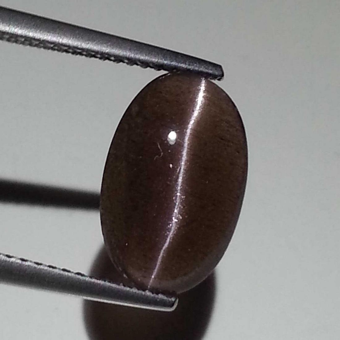 3.52 ct Natural Scapolite Cat's Eye: No Reserve! Title: 3.52 ct Natural Scapolite Cat's Eye Color/Clarity: Opaque Gemstones: Loosegemstone Carat Weights: $4 Size/Dimensions: 13.20 x 8.50 x 4.00 Additional Information: Oval - Africa Shipp