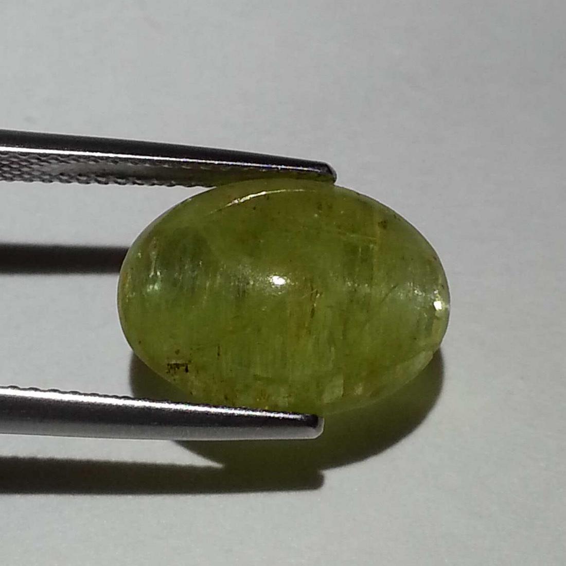 10.50 ct Natural Apatite cat's Eye: No Reserve! Title: 10.50 ct Natural Apatite cat's Eye Color/Clarity: Semi Transparent Gemstones: Loosegemstone Carat Weights: $11 Size/Dimensions: 14.80 x 11.10 x 7.60 Additional Information: Oval - J