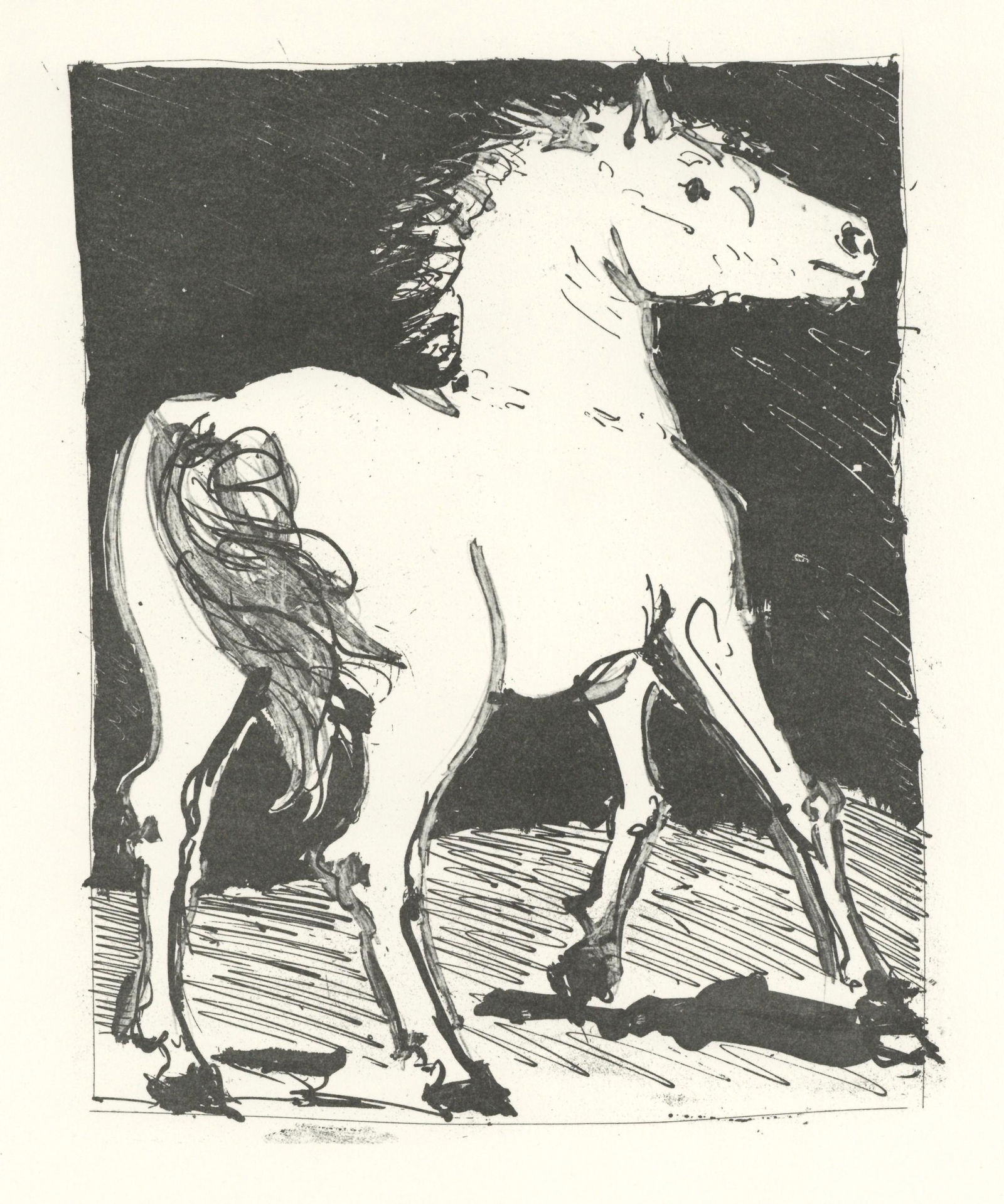 Pablo Picasso "Le Cheval" The Horse | Buffon (1 of 1)