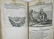1700 FABLES CHOISIES DE LA FONTAINE ILLUSTRATED antique - 11