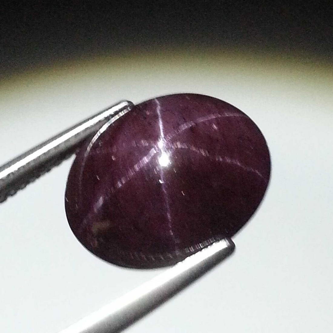 18.31 ct Natural Six Ray Star Garnet (1 of 6)