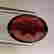 item-79655974=5