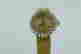 item-79814617=2