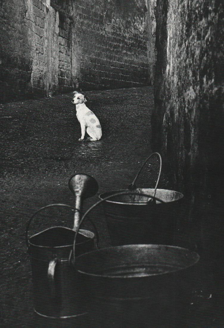HERBERT LIST - Naples, 1961: Artist: HERBERT LIST Print Title: Naples, 1961 Printing Date: 1970’s Medium: Photo-lithograph Printed in: Germany Image Size: approx. 9.5 x 6” Reserve: $25.00 Shipping: Domestic: Flat rate of $15.