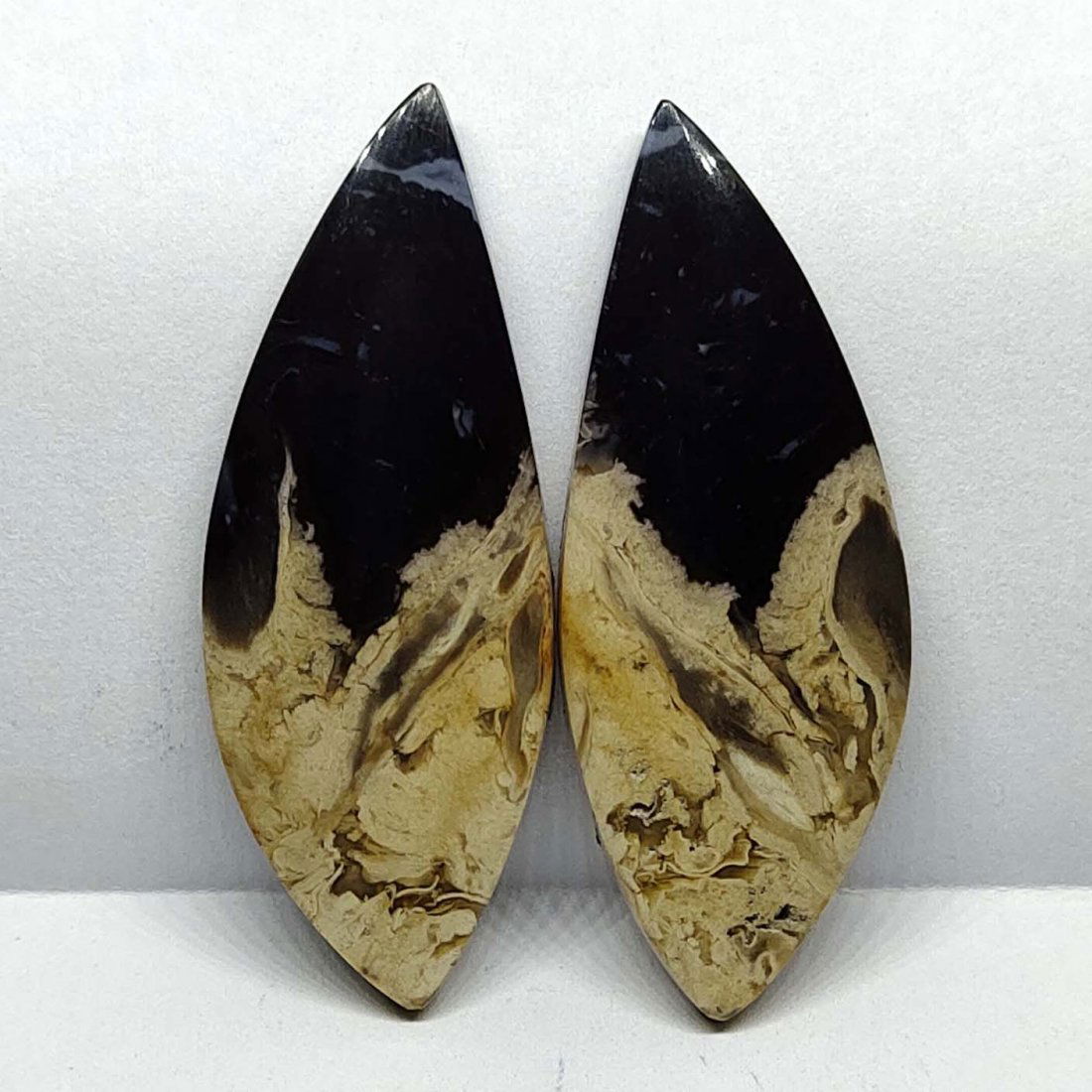 18.70/19.20 ct Natural Palm Root Fossi Pair (1 of 5)