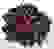 item-79956166=3