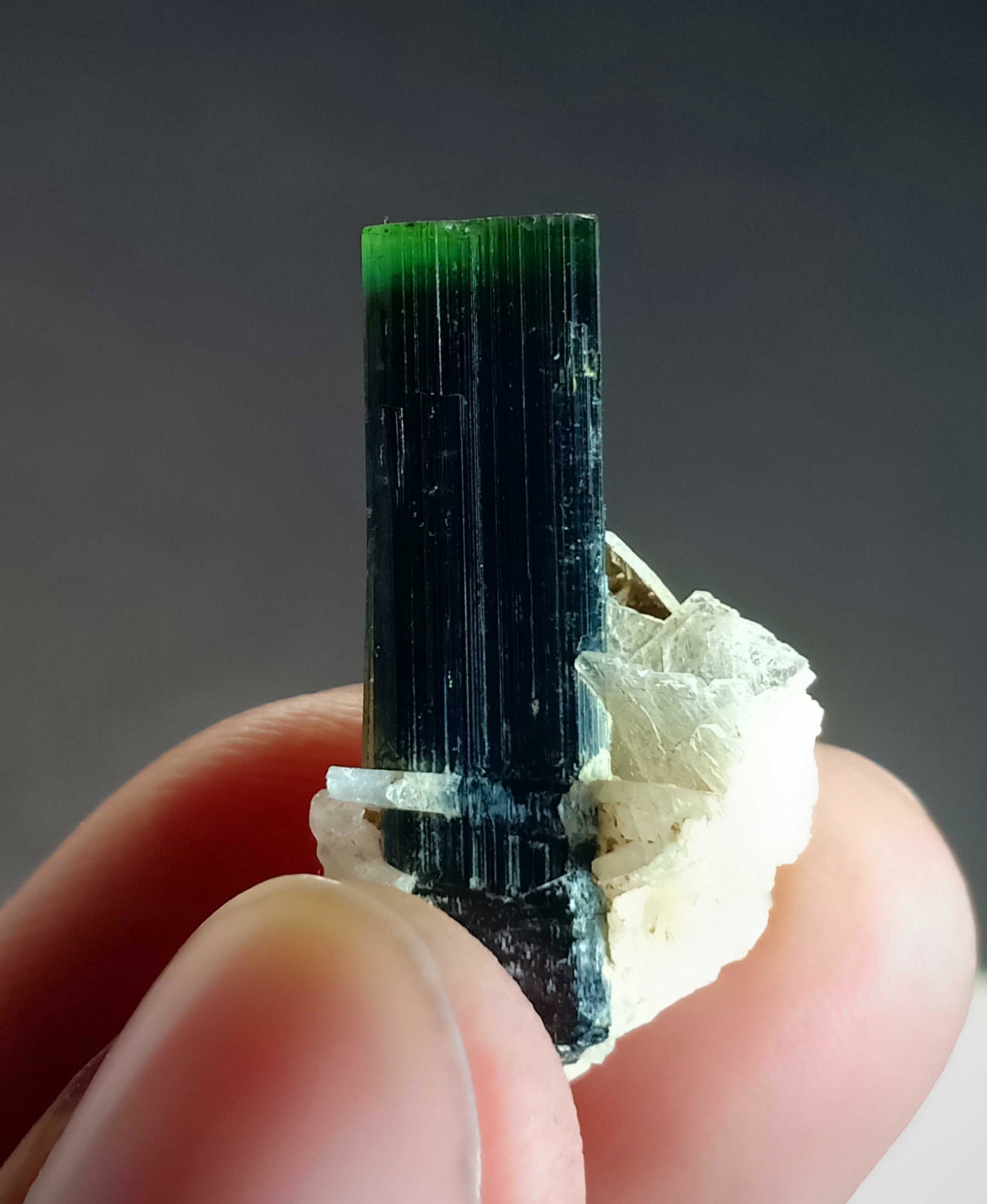 5 Gram Intersting Quality Natural Tourmaline Specimen: No Reserve! Title: 5 Gram Intersting Quality Natural Tourmaline Specimen Treatment: Natural Gemstones: Tourmaline Weight: 5 Gram Size/Dimensions: 25x15x11 mm Origin: Pakistan Shipping: Domestic: Flat