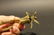 Solid Brass Fireplace Hearth Cricket - 6