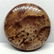 27.4 ct Natural Petrified Wood stone - 3
