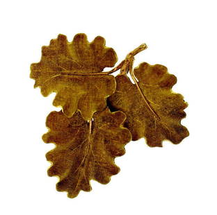 M. BUCCELLATI LEAF BROOCH PIN C.1996 AUTHENTIC 18K 750: N-ATOO MARIO BUCCELLATI ITALY 18K 750 GOLD BREATHTAKING GORGEOUS PIN BROOCH C.1996 Mario Buccellati – every jewelry collector knows this name. Superb quality, exceptional design, Italian chic! 