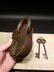 Cast Iron Colt Firearms Ammo Box Padlock Lock & Key - 5