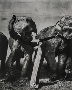 RICHARD AVEDON - Dovima with Elephants, 1955: Artist: Richard AvedonTitle: Dovima with Elephants, 1955Medium: Photo Litho, 1997, ChinaDimensions: 6.9x8.6"Heat Wax Mounted on 11x14" Conservation Board Richard Avedon was an American fashion and