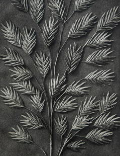 KARL BLOSSFELDT - Uniola latifolia, fescue: Artist: Karl BlossfeldtTitle: Uniola latifolia, fescue Medium: Sheet Fed Gravure, 1949, GermanyDimensions: 8.25x10.5"Unmounted Karl Blossfeldt (1865-1932) was a German photographer, sculptor,