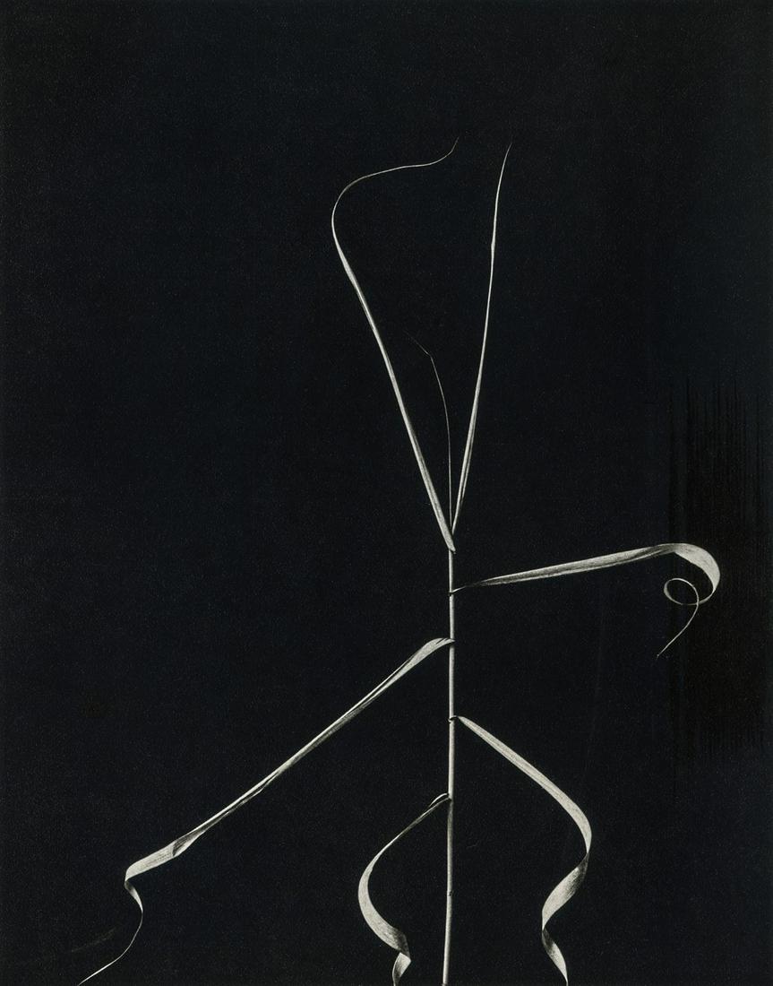 HARRY CALLAHAN - Aix en Provence, 1958 (1 of 1)