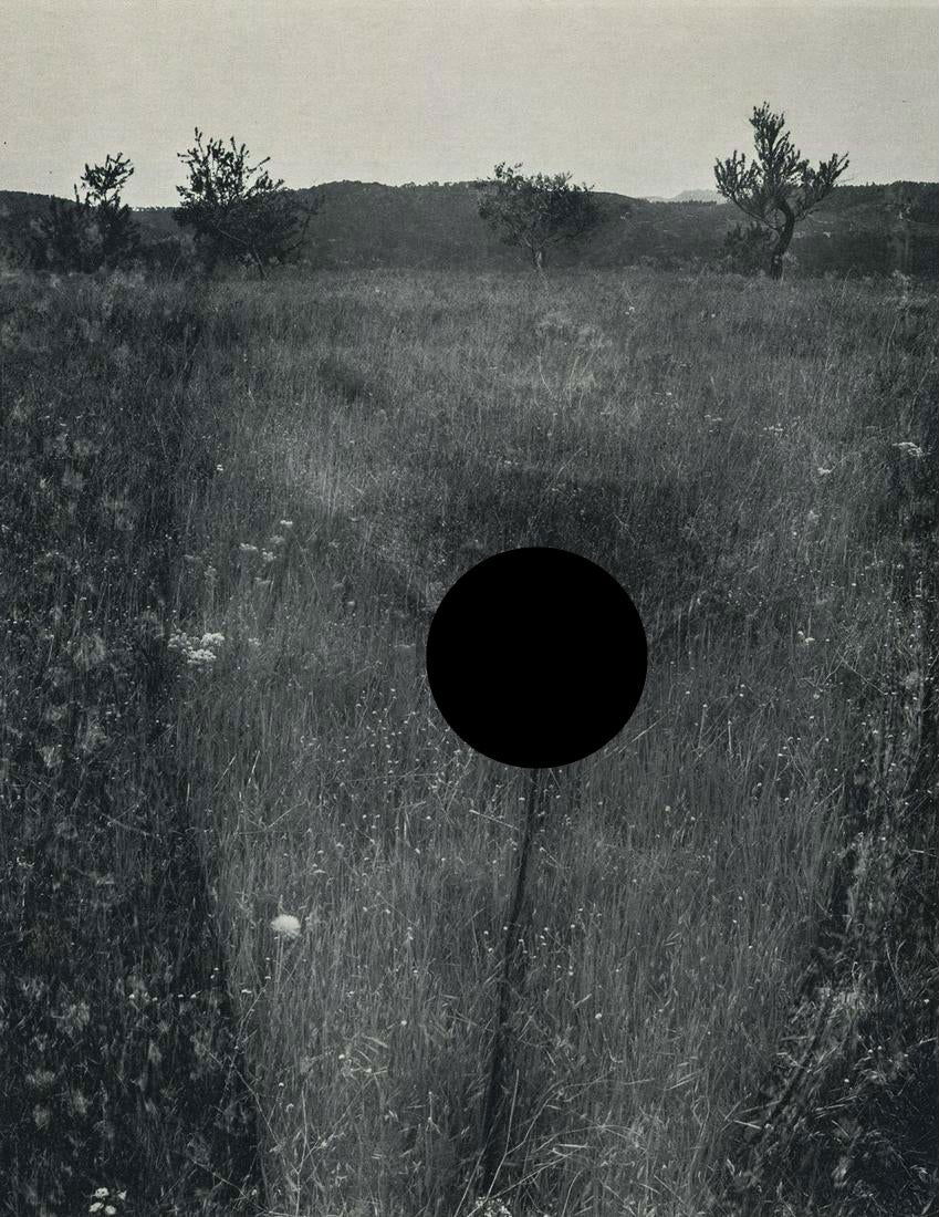 HARRY CALLAHAN - Eleanor, Aix-en-Provence, 1958 (1 of 2)