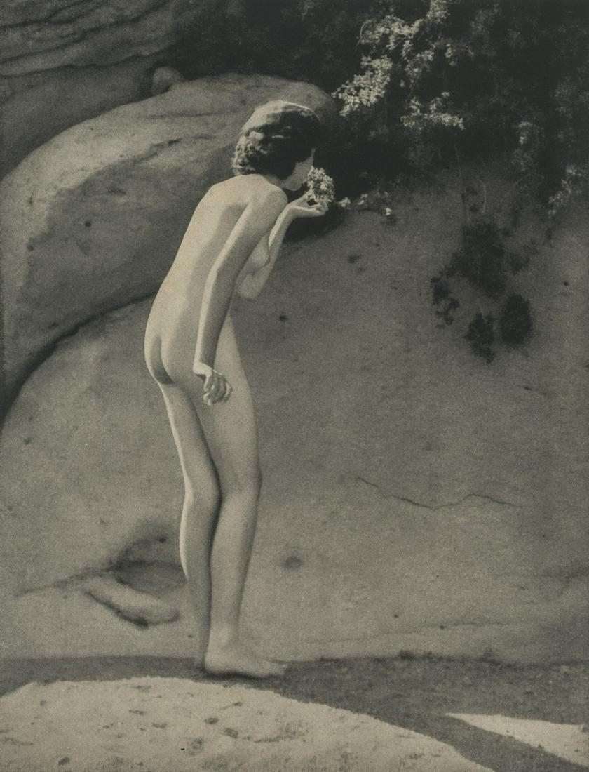 FORMAN HANNA - Canyon Fragrance (1 of 1)