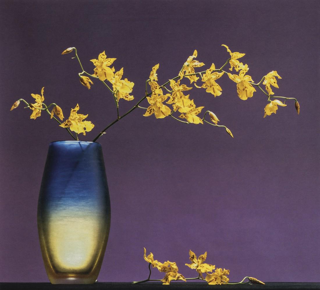 ROBERT MAPPLETHORPE - Flowers in Vase, 1984 (1 of 1)