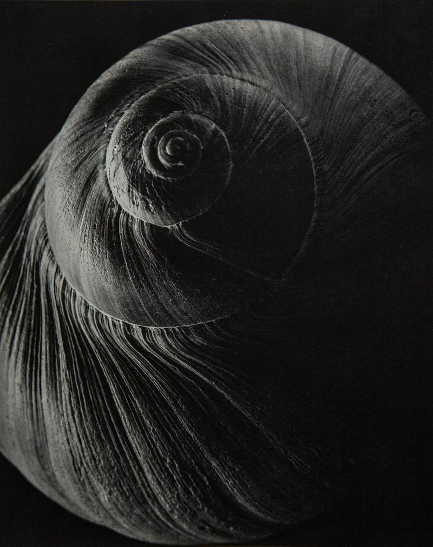 EDWARD STEICHEN - Spiral, France, 1921 (1 of 1)