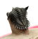 Flying trilobite : Metacanthina issoumourensis - 2