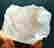 item-80338025=4