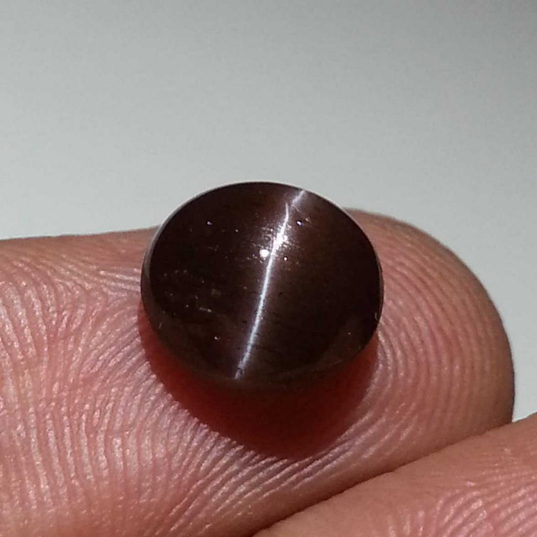 3.50 ct Natural Scapolite Cat's Eye: No Reserve! Title: 3.50 ct Natural Scapolite Cat's Eye Color/Clarity: Opaque Loosegemstone Carat Weights: 3.5 Size/Dimensions: 9.60 x 9.60 x 5.50 Round - Africa Shipping: Worldwide: Flat-rate of $10.0