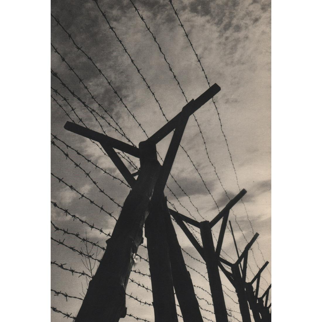 VACLAV JIRU - Barbed Wire Fence (1 of 1)