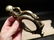 Brass Octopus Magnifying Paperweight Hand Lens - 12