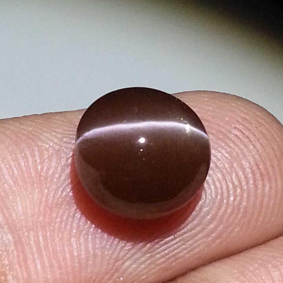 4.37 ct Natural Scapolite Cat' Eye: No Reserve! Title: 4.37 ct Natural Scapolite Cat' Eye Color/Clarity: Opaque Loosegemstone Carat Weights: $4 Size/Dimensions: 9.50 x 9.50 x 6.50 Additional Information: Round - Africa Shipping: Worldwi