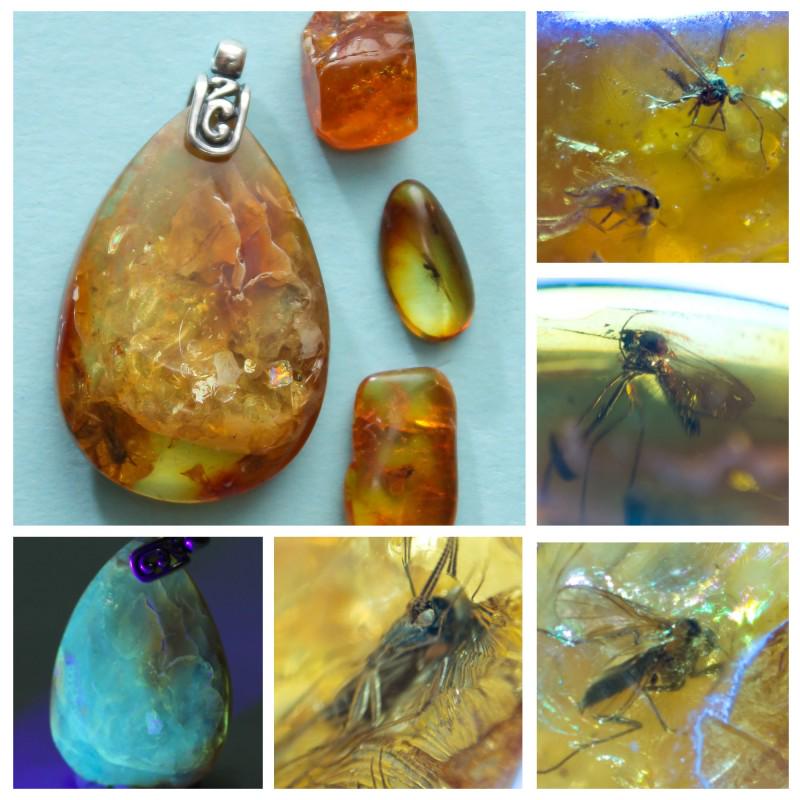 Natural Baltic amber pendant with inclusion rare insect: RARE inclusion in Baltic amber pendant, with 3 amber stones as a gift. All stones are natural and insected. The age of amber and insect 45-50 million years ! Weight: 3.8 gram Size: 14x35 mm Stone: 100